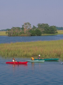 The best things to do in Kingsland, Georgia