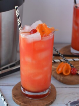 Alabama Slammer Cocktail Drink Recipe