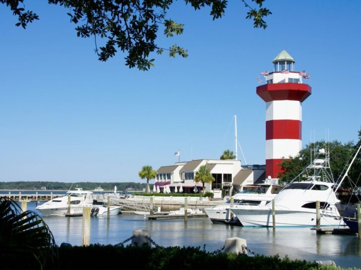 Best things to do in Hilton Head Island With Kids
