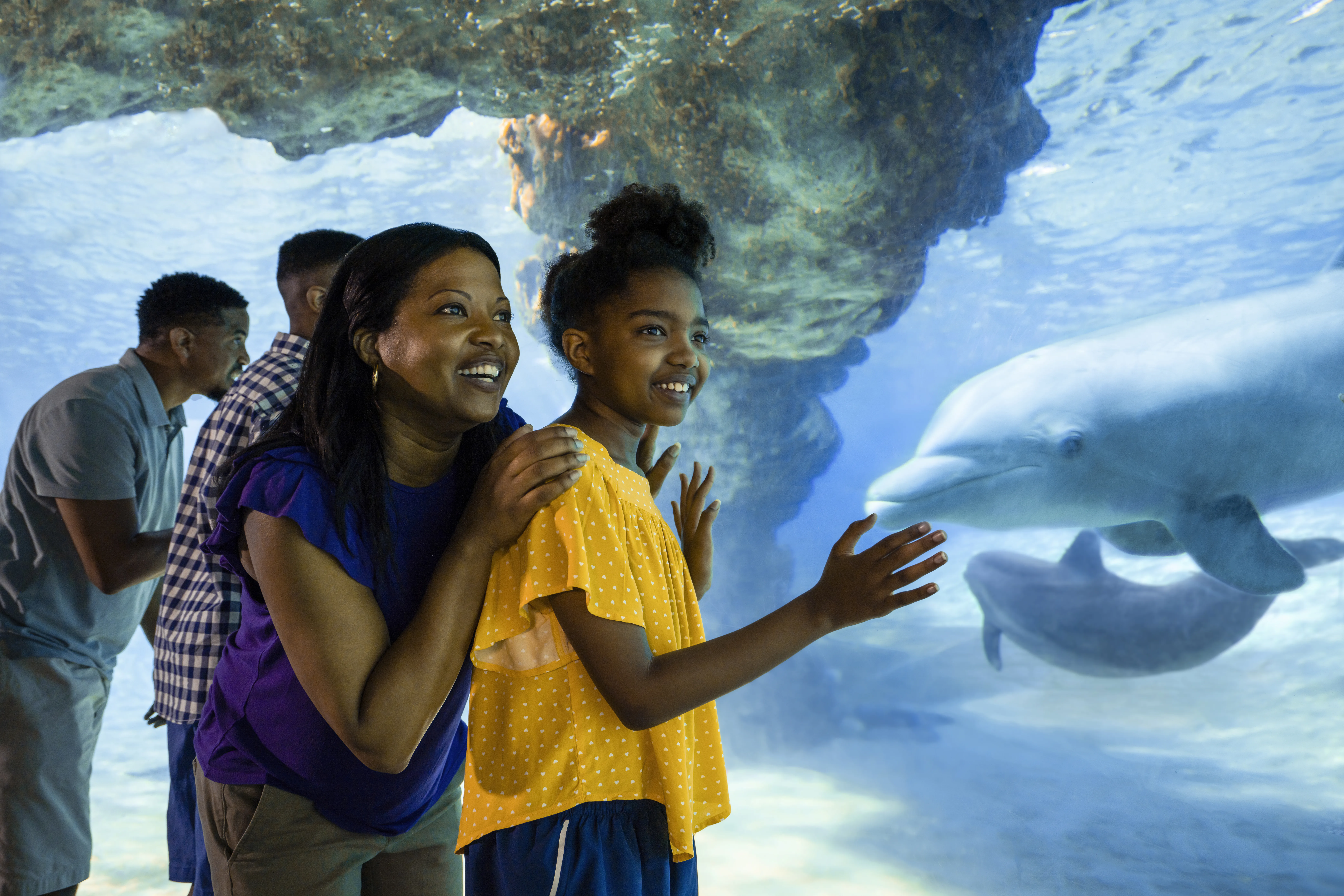 How to get free SeaWorld Orlando Tickets