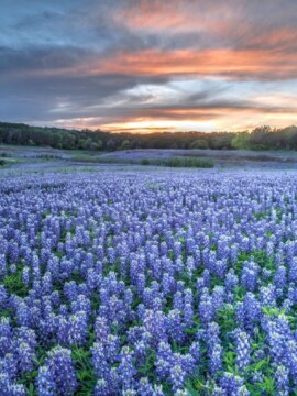 The best places to visit in Texas if you love the outdoors.