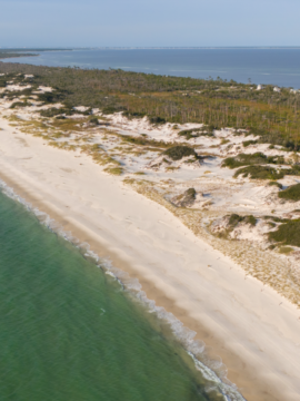 Florida's best state Park in the panhandle
