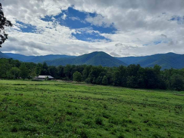 View of Great Smoky Mountains