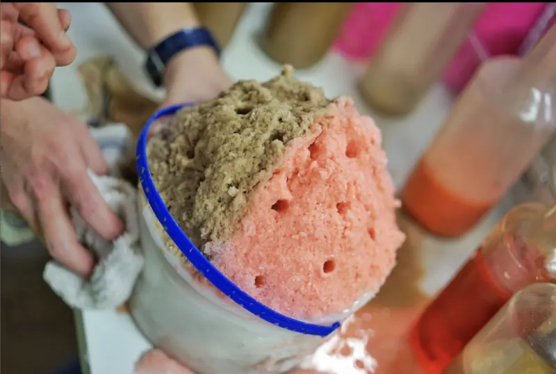 New Orleans Food favorite is Sno Balls