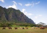 10 Authentic Dude Ranches For The Ultimate Western Experience