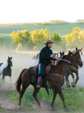 Best dude ranches to stay at