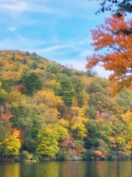 The best fall hikes in Georgia across the state, by region.
