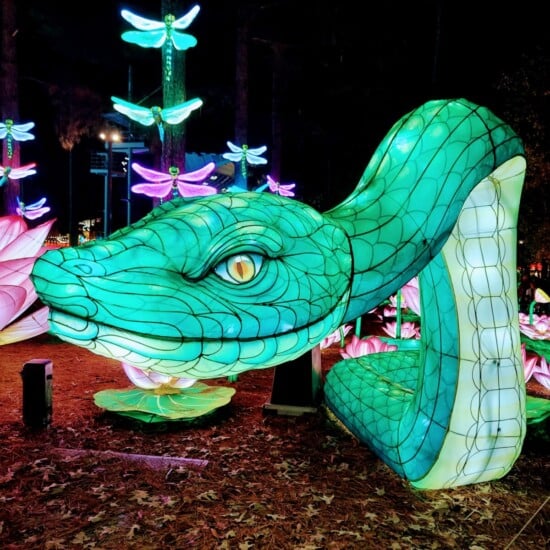 The Chinese Lantern Festival in Cary, NC