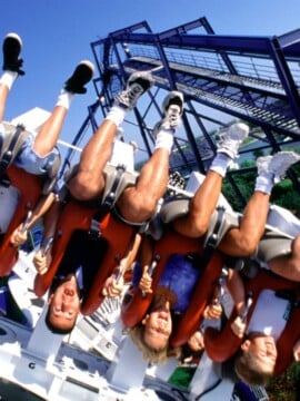 The Best Hotels Near SeaWorld Orlando For Families.