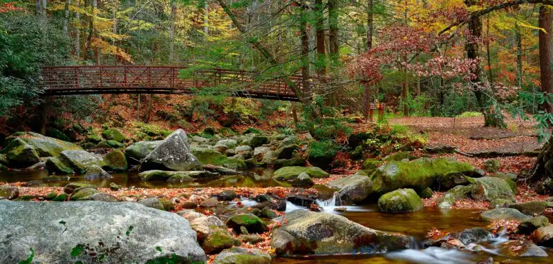 Jones Gap State Park in the fall time.