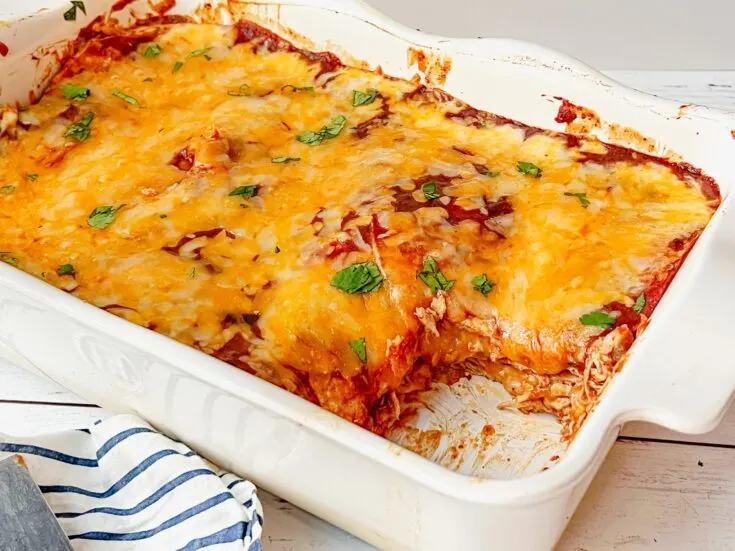 Mole Chicken Enchilada Casserole Recipe
