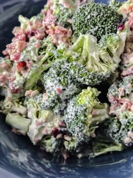 Cranberry Bacon Broccoli Salad Recipe