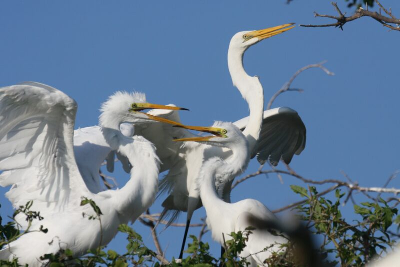 Hammocks Beach State Park has plenty of nature to enjoy.