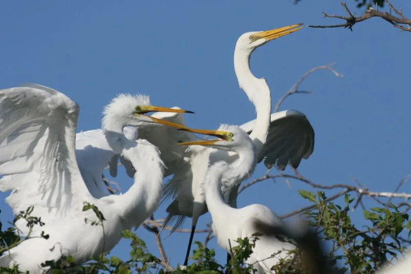 Hammocks Beach State Park has plenty of nature to enjoy.