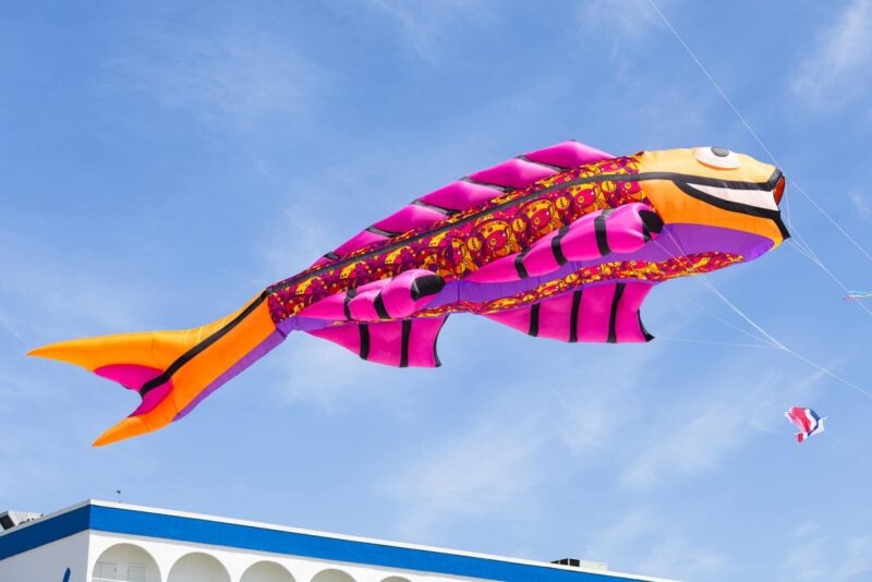 Fly into spring kite festival