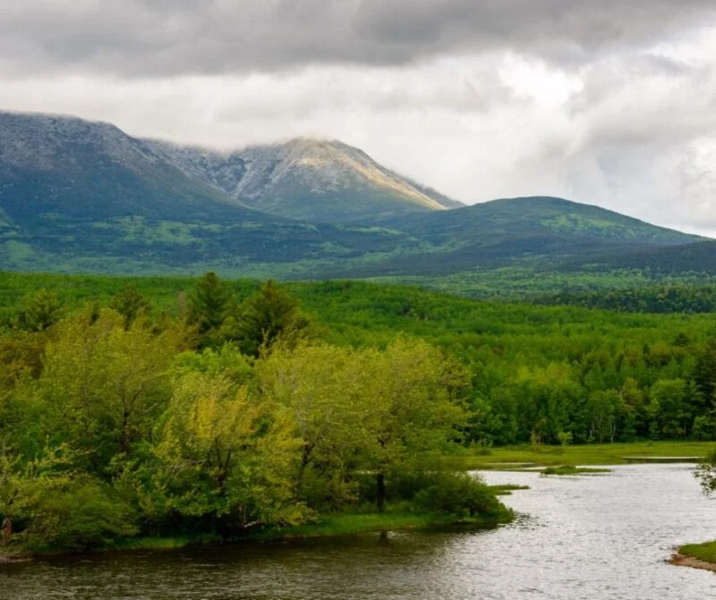 Maine North Woods is one of the greenest parts of the state.