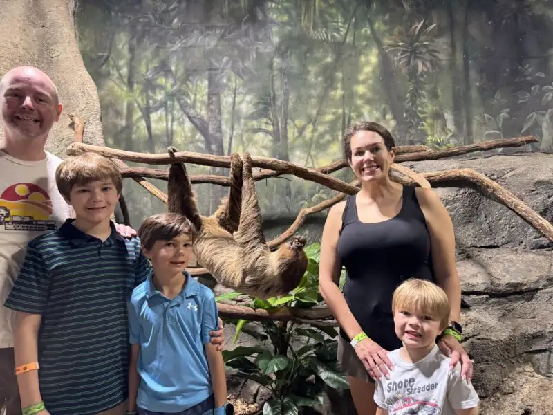 Sloth Encounter at Rainforest Adventures Zoo.