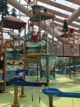 Wildnerness at the Smokies is where you can splash around all year long.