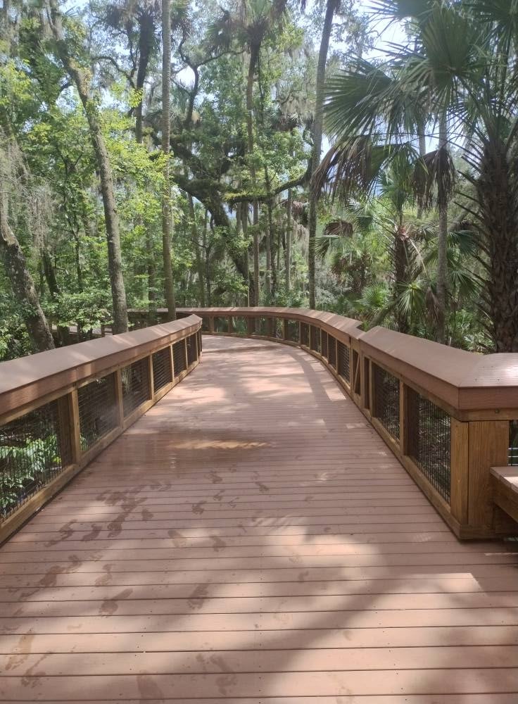 A boardwalk trail in Blue Spring State Park covered with trees.