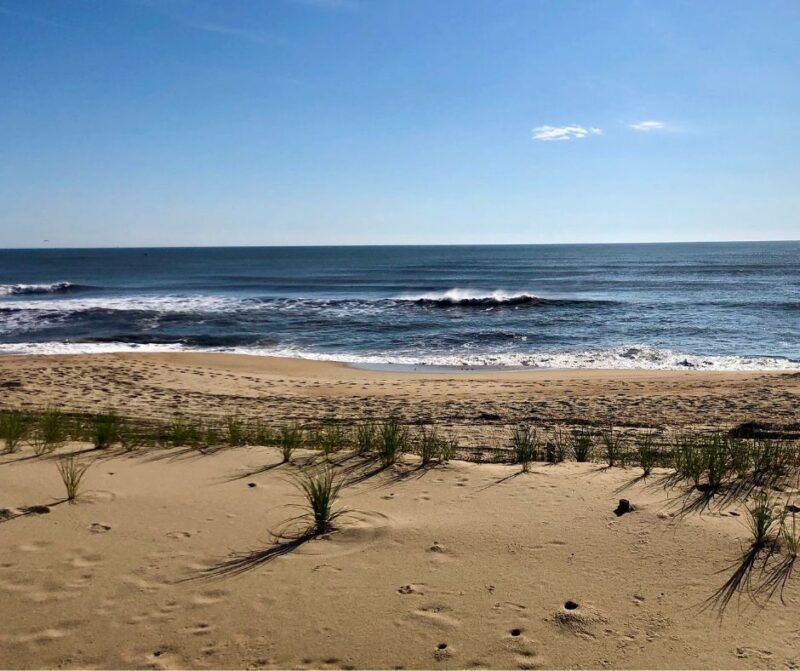 Kitty Hawk Beach in North Carolina is a quiet destination for dogs and owners alike.