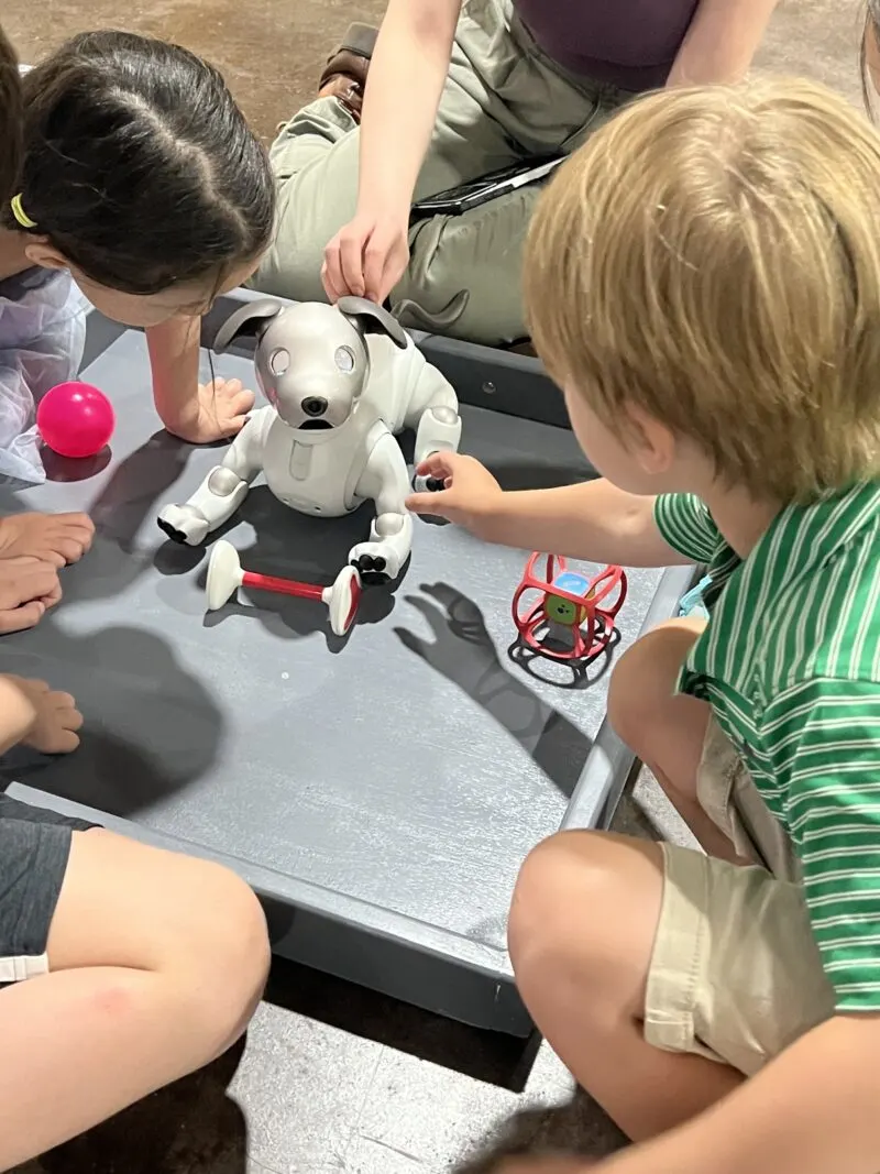 Pet a robot dog, named "Rover" at Mimm's Museum.