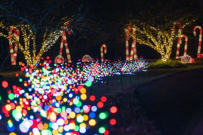 Lockerly in Lights is adorned with thousands of lights during the holidays.