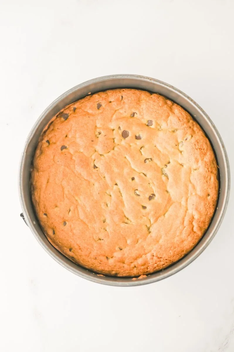 Baked Cookie Cake in Springform Pan