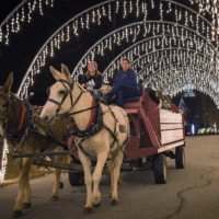 Small Town Christmas Events in South Carolina