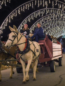 Small Town Christmas Events in South Carolina