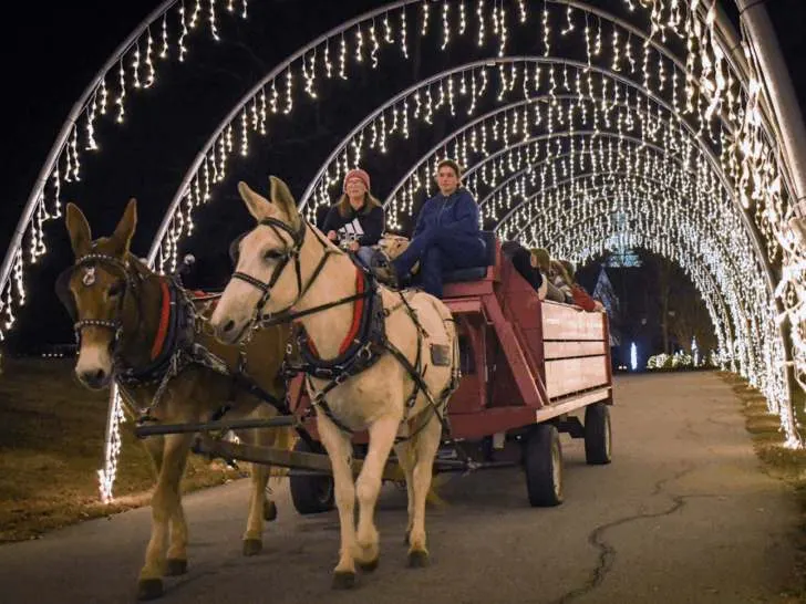 Small Town Christmas Events in South Carolina