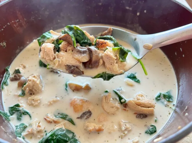 Chicken and Mushroom Florentine Soup Recipe
