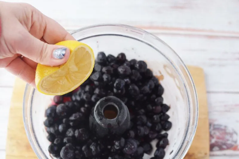Bluberries in a food processessor