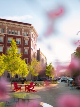 Tips for Visiting Macon's International Cherry Blossom Festival