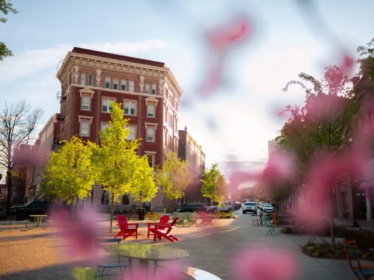 Tips for Visiting Macon's International Cherry Blossom Festival