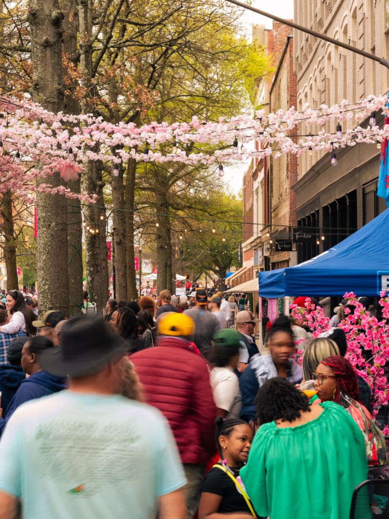 Macon International Cherry Blossom Festival Tips