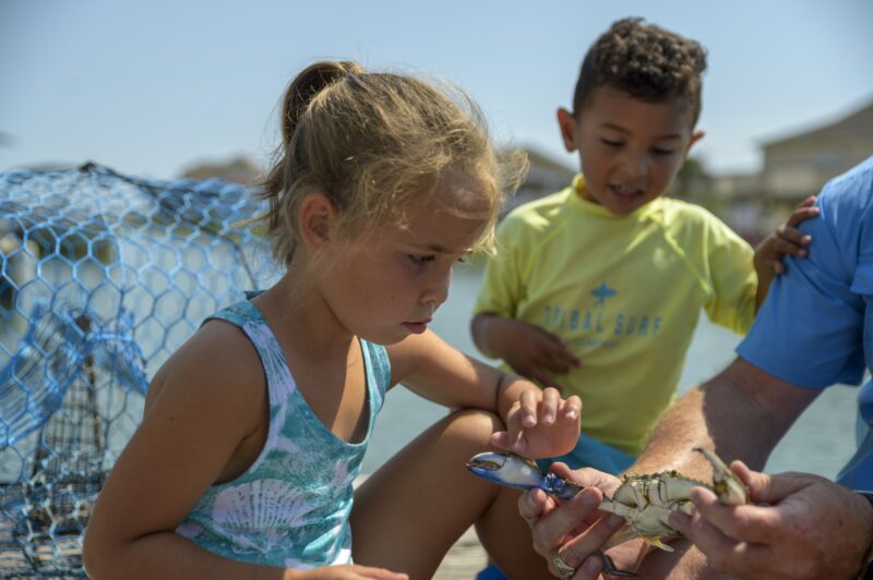 Kids crabbing off the pier at Cherry Grove 