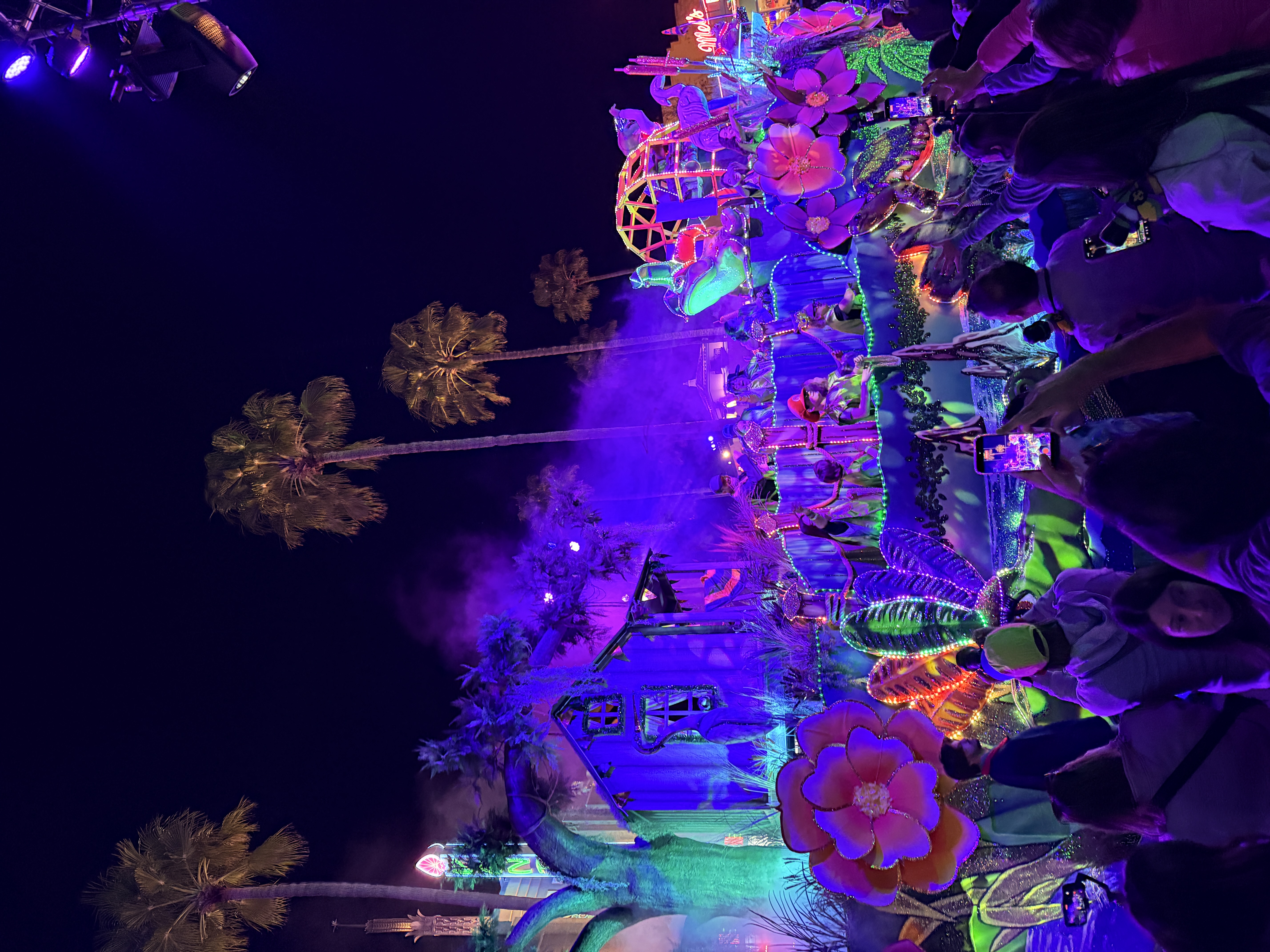 Universal's Mardi Gras for Families