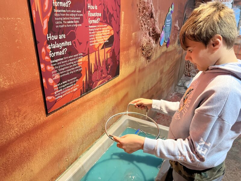 Customs House Museum in Clarksville, TN