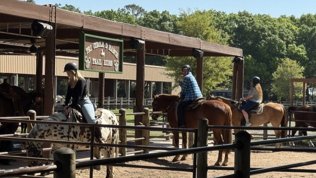 Tri-Circle-D Ranch: Most Underrated Experience at Disney World