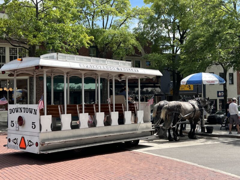 Downtown Wilmington Horse-drawn Carriage Tours