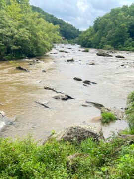 What to do in Bryson City NC with Kids