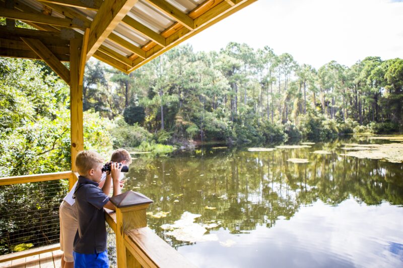 Family vacation to Jekyll Island, GA