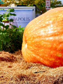 Great Pumpkins of Annapolis